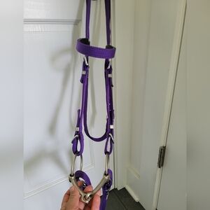 New! Purple Nylon Full Set Bridle
